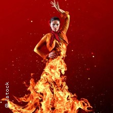 Habanera - zu hei&szlig; f&uuml;r den Konzertsaal!