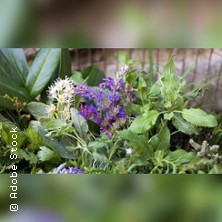 Wildkräuterwanderung in Mörfelden