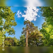 Waldbaden im Ostseeheilbad Graal-Müritz