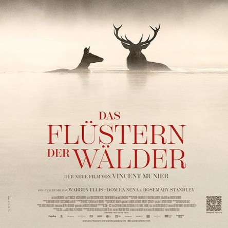Das Fl&uuml;stern der W&auml;lder | Eschborn K