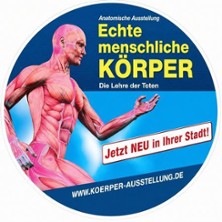 Ausstellung ECHTE K&Ouml;RPER