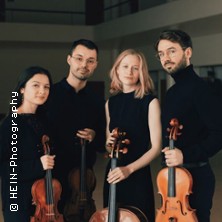 Kammermusik in den REM: 3. Konzert - NOVO Quartet