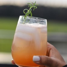 Open Bottle - Thema Gin | 
vomFASS Karlsruhe