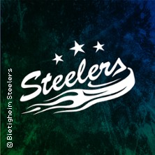 Bietigheim Steelers