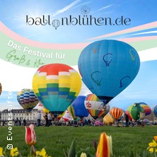 Ballonblühen