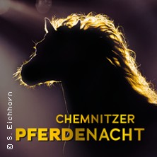 Chemnitzer Pferdenacht 2026
