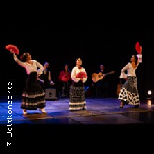 Mi Mundo Flamenco