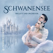 Schwanensee &ndash; Ballett mit Orchester 2027