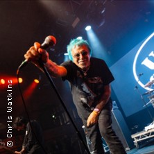 UK Subs