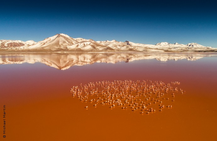 Laguna Colorada in Bolivien