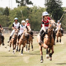 German Polo Tour - International Polo Cup - Frankfurter Polo Club