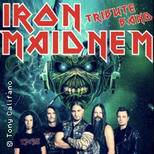 Iron Maidnem
