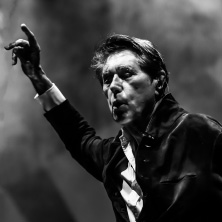 Bryan Ferry