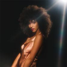 Gavin Turek