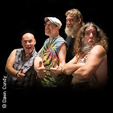 Hayseed Dixie