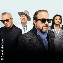 The Mavericks