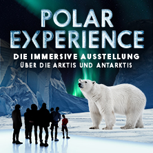 Polar Experience