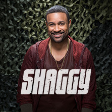 Shaggy