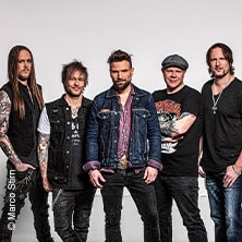 The New Roses
