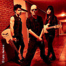 The Sisters of Mercy