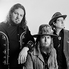 The Steel Woods