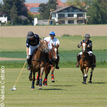 Polo Club Bayern