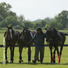 Polo Club Schleswig Holstein