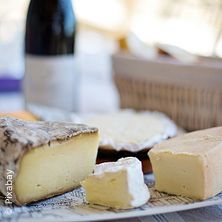 Wine seminar cheese and wine - Germany