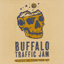 Buffalo Traffic Jam
