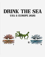 Drink The Sea