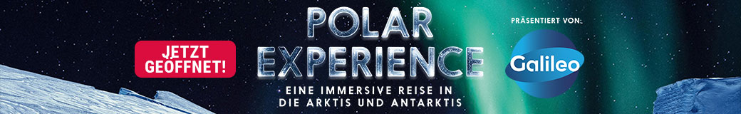 Polar Experience