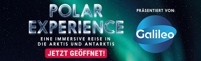 Polar Experience