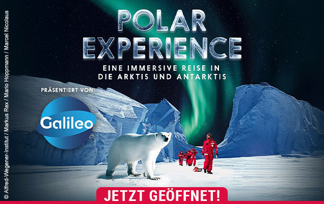 POLAR EXPERIENCE - Die immersive Ausstellung