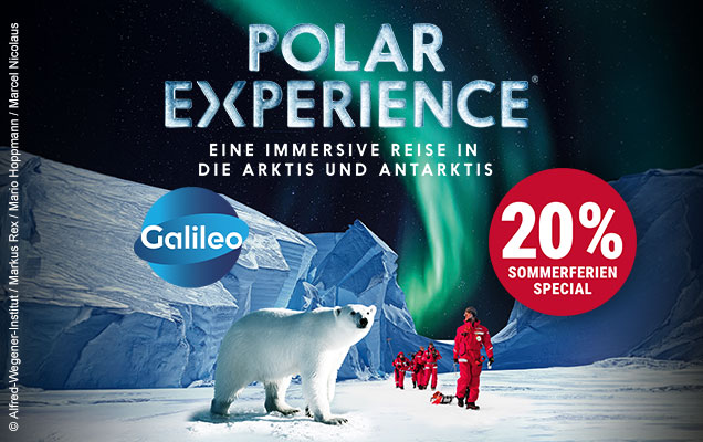 Polar Experience
