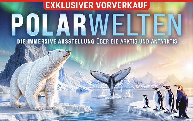 Polarwelten