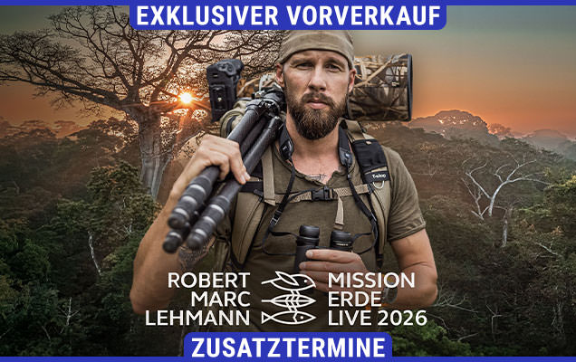 Robert Marc Lehmann