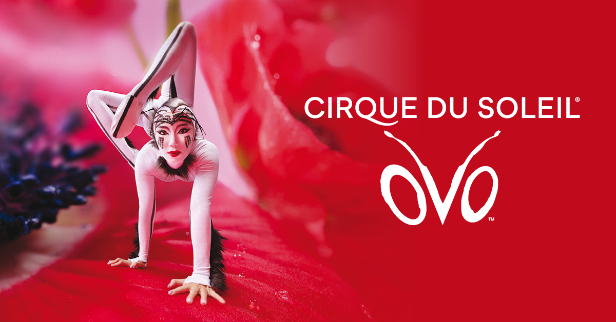 Cirque du Soleil - OVO Cirque du Soleil - OVO