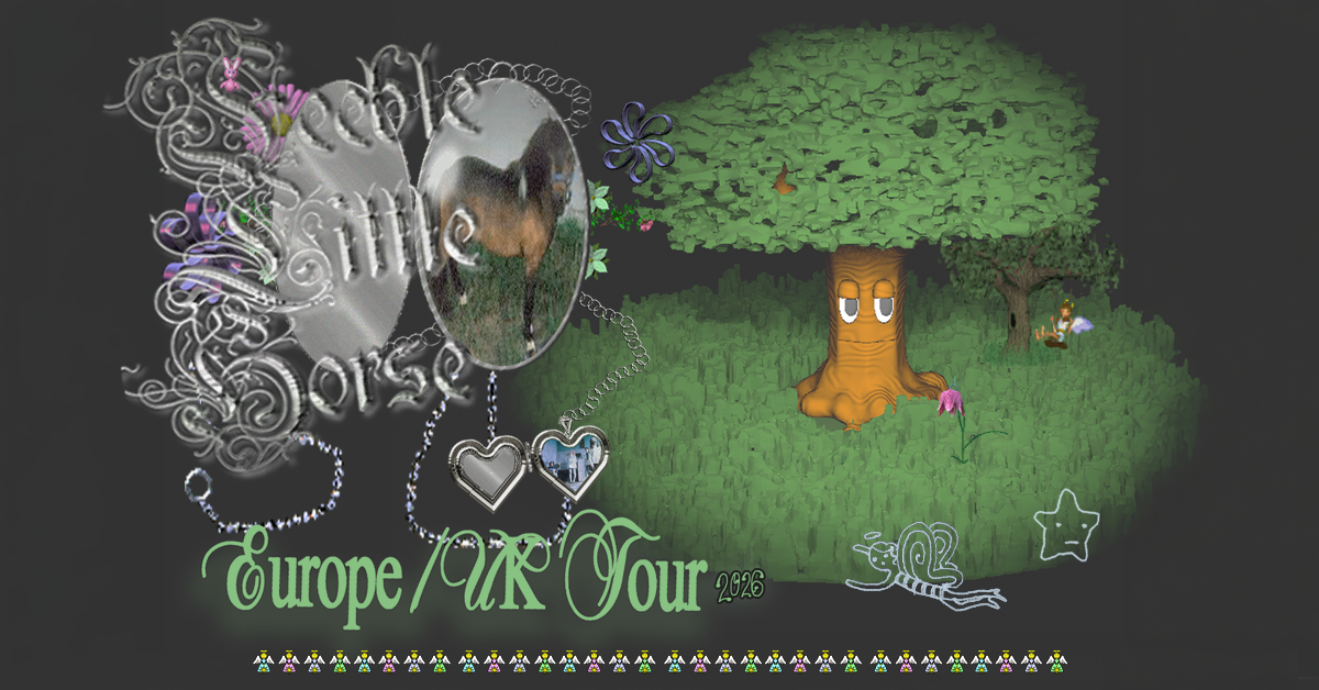 feeble little horse feeble little horse