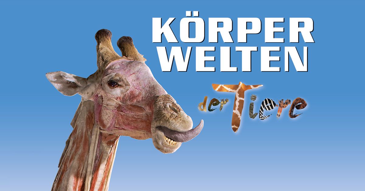 K&Ouml;RPERWELTEN der Tiere