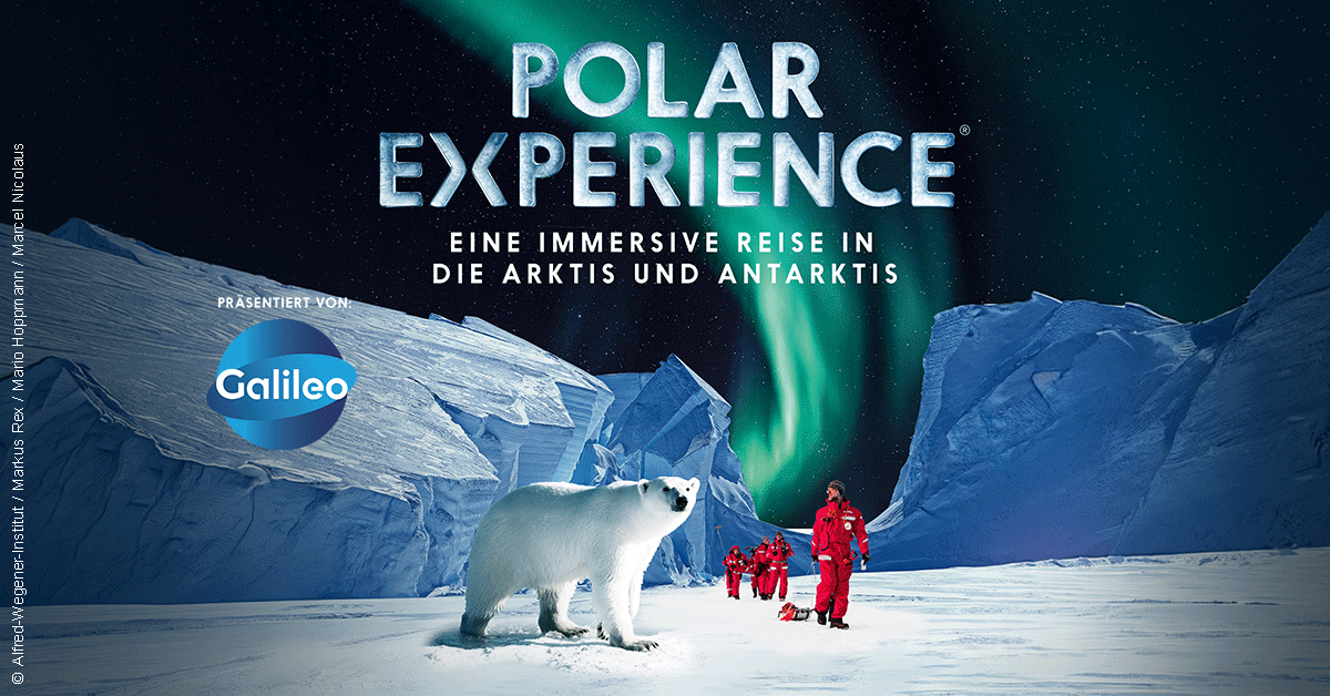POLAR EXPERIENCE - Die immersive Ausstellung