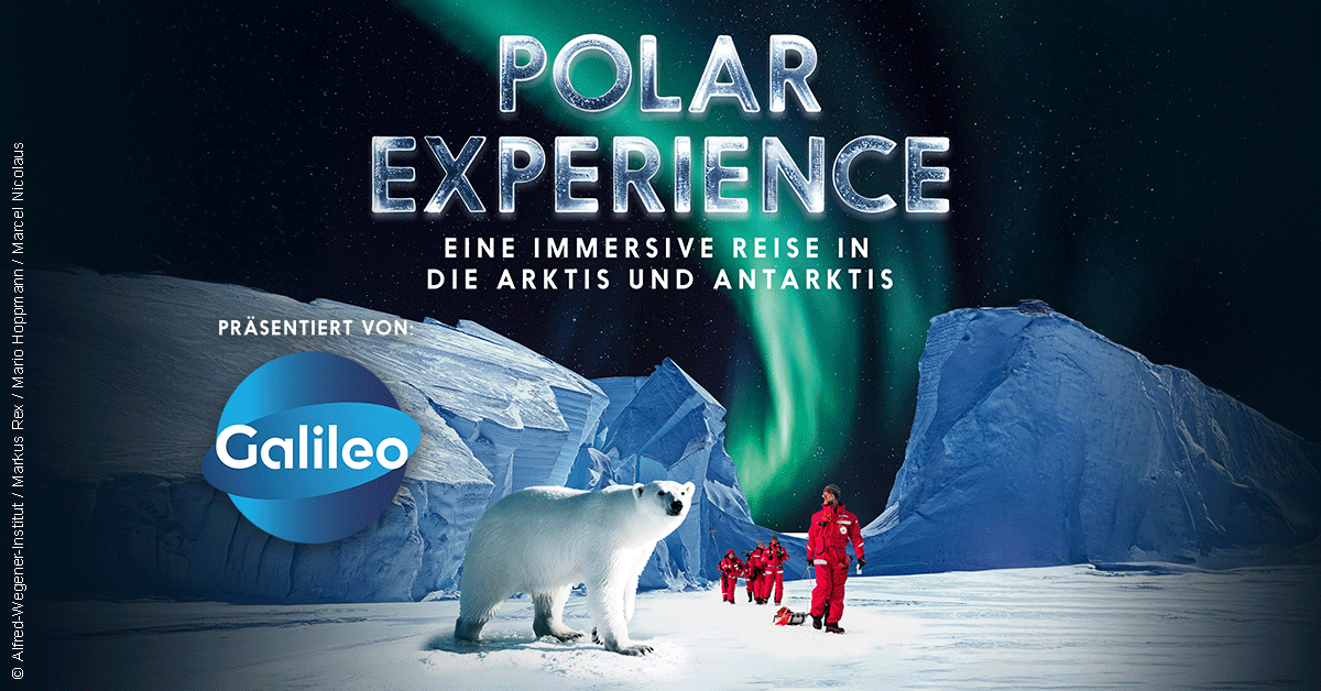 POLAR EXPERIENCE - Die immersive Ausstellung