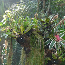 Biosph&auml;re Potsdam