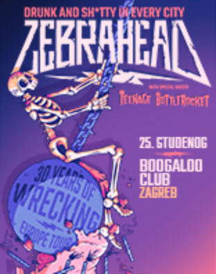 Zebrahead @ Boogaloo