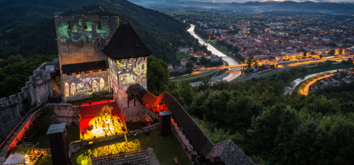 Stari grad Celje